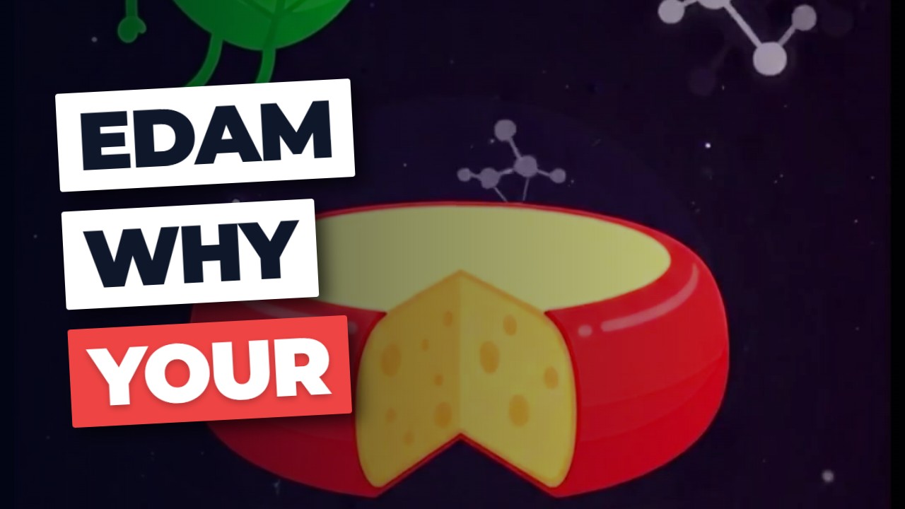 The Edam Cheese SECRET Your Dietitian HIDES!