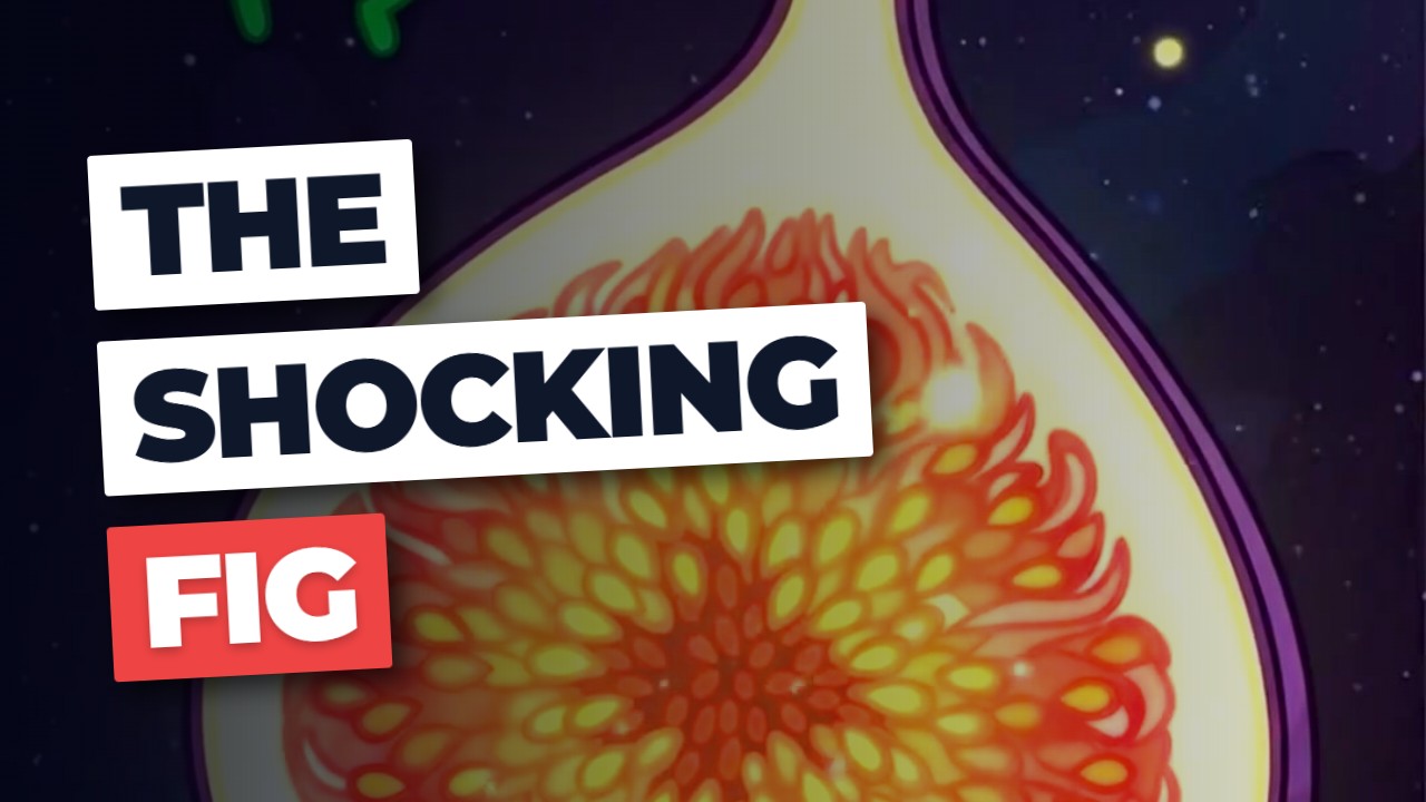 The Fig Fraud: Your 