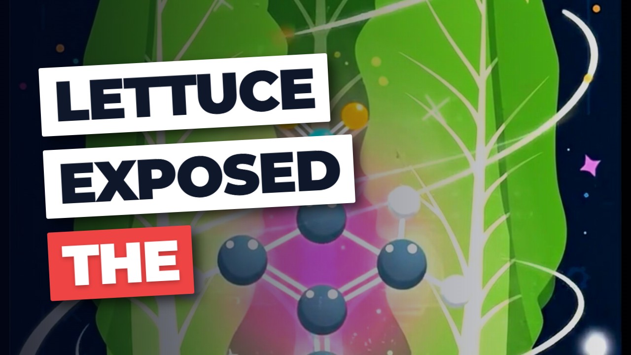 Lettuce EXPOSED: The Hidden Health Truth!