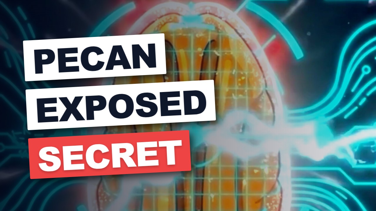 Pecan EXPOSED: Secret Blood Sugar Stabilizer?