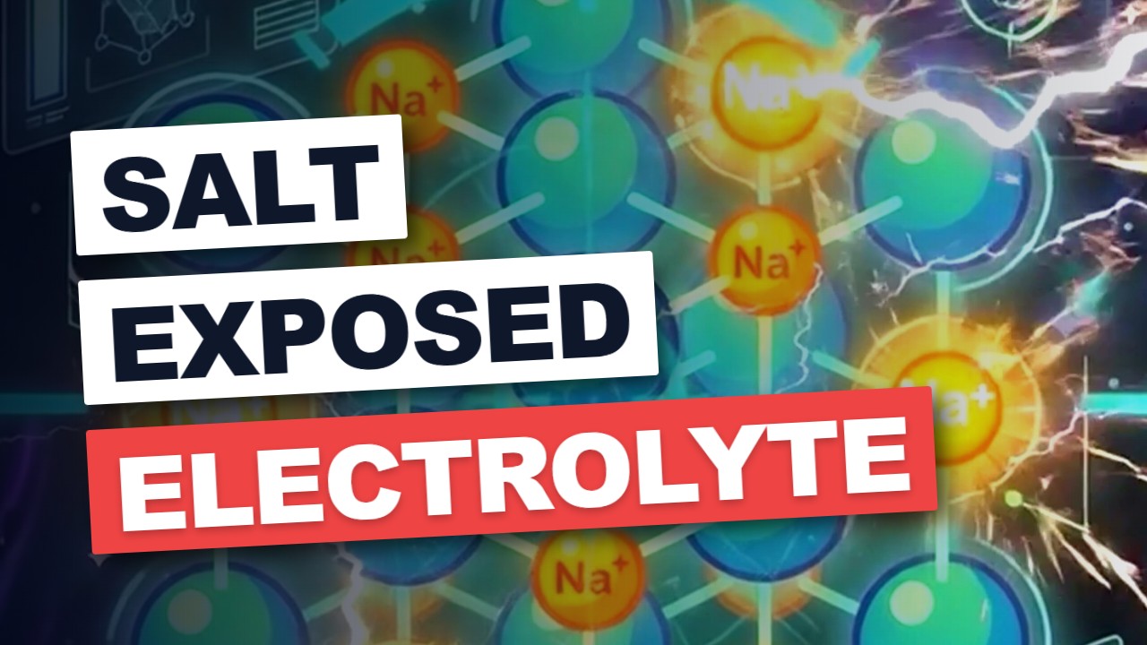 Salt EXPOSED: Your Metabolism's Secret!